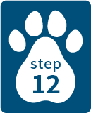 STEP12