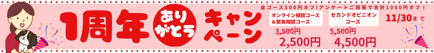 青　白　シンプル　おすすめ　イチオシ　 バナー-4