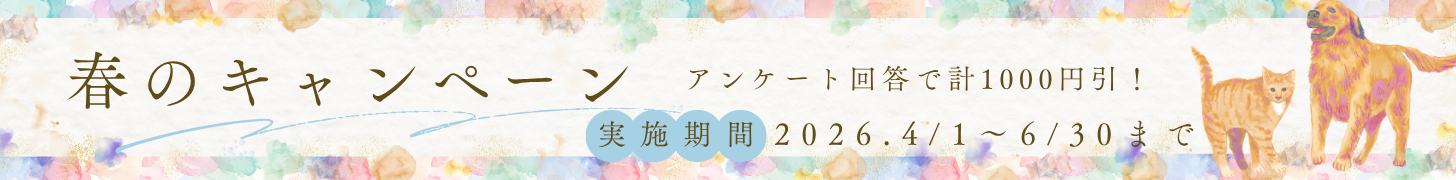 春キャンペーンバナー